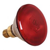 lamp rood 175 watt tbv warmhoudkap